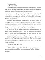 skkn một số biện pháp duy trì sĩ số đối với học sinh dân tộc thiểu số (tiểu học) 