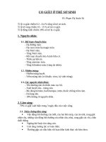 co giat o tre so sinh