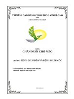 Bệnh giun đũa và Bệnh giun móc