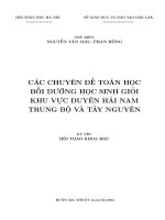 cac chuyen de boi duong hoc sinh gioi toan 2015 tai dak lak 