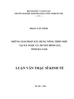 Những giải pháp xây dựng nông thôn mới ở xã Ngọc Lũ, huyện Bình Lục, tỉnh Hà Nam