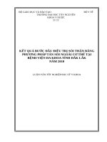 kết quả býớc ðầu ðiều trị sỏi thận bằng phýõng pháp tán sỏi ngoài cõ thể tại bệnh viện ða khoa tỉnh ðắk lắk nãm 2010 