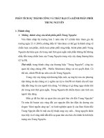 phân tích sự thành công và thất bại của kênh phân phối trung nguyên