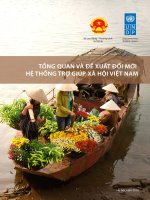 TỔNG QUAN VÀ ĐỀ XUẤT ĐỔI MỚI HỆ THỐNG TRỢ GIÚP XÃ HỘI VIỆT NAM