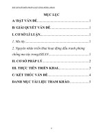 BÀI TẬP LỚN MÔN PHÁP LUẬT CỘNG ĐỒNG ASEAN