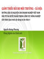 GIẢM THIỂU RỦI RO MÔI TRƯỜNG – XÃ HỘI: HƯỚNG DẪN TỰ NGUYỆN CHO DOANH NGHIỆP VIỆT NAM ĐẦU TƯ RA NƯỚC NGOÀI TRONG LĨNH VỰC NÔNG NGHIỆP