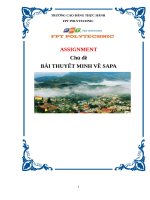 thuyết minh về sapa fpt