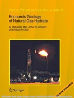 Economic Geology of Natural Gas Hydrate-Michael D. Max Arthur H. Johnson William P. Dillon-140