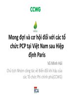 Mong đợi và cơ hội đối với các tổ chức PCP tại Việt Nam sau Hiệp định Paris - Vũ Minh Hải