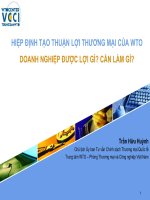 HIỆP ĐỊNH TẠO THUẬN LỢI THƯƠNG MẠI CỦA WTO DOANH NGHIỆP ĐƯỢC LỢI GÌ? CẦN LÀM GÌ?