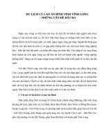 Tiểu luận: DU LỊCH CÙ LAO AN BÌNH TỈNH VĨNH LONG  – NHỮNG VẤN ĐỀ ĐẶT RA