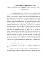 Tiểu luận: CƯỚI HỎI CỦA NGƯỜI VIỆT NGÀY NAY – SỰ TƯƠNG ĐỒNG VÀ KHÁC BIỆT GIỮA HAI MIỀN NAM  BẮC