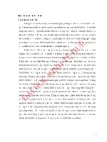 Nâng cao kết quả sản xuất và tiêu thụ sản phẩm của Công ty cổ phần Trường Sơn, Thừa Thiên Huế