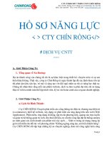 Ho so nang luc cty chin rong dragonsbc 9rong 