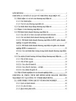 Mô hình kinh doanh thương mại điện tử của công ty trách nhiệm hữu hạn Hiệp Đồng