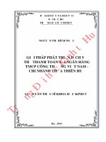 Giải pháp phát triển dịch vụ thẻ thanh toán tại Ngân hàng TMCP Công Thương Việt Nam – Chi nhánh Thừa Thiên Huế
