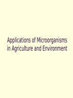 Bài giảng - Applications of microbes in environment and agriculture
