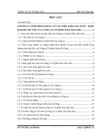 báo cáo l-n 1 công ty H-i Anh New 1