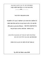 Nghiên cứu quá trình vận chuyển crôm từ môi trường rừng ngập mặn lên cây Đước (Rhizophora apiculata Blume) – trường hợp rừng ngập mặn Long Thành – Đồng Nai tt