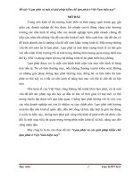 tiểu luận 1   lạm phát ở việt nam
