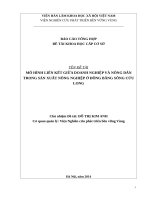 Mô hình liên kết giữa doanh nghiệp và nông dân trong sản xuất nông nghiệp ở đồng bằng Sông Cửu Long