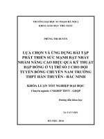 Lựa chọn và ứng dụng bài tập phát triển sức mạnh bật nhảy nhằm nâng cao hiệu quả kỹ thuật đập bóng ở vị trí số 2 cho đội tuyển Bóng Chuyền nam trường THPT Hàn Thuyên - Bắc Ninh