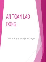 Nội quy an toàn trong sử dụng thang leo 