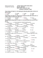 Đề thi tham khảo môn Tiếng Anh vào lớp 10 hay