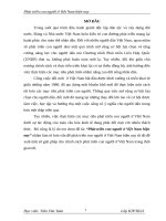 Tieu luan toan   phat trien con nguoi o viet nam