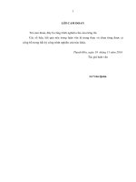 Giải pháp nâng cao hiệu quả sản xuất cây nghệ dược liệu tại nông trường thạch quảng, tỉnh thanh hóa 