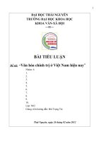 Tiểu luận văn hóa chính trị ở việt nam hiện nay   đại học thái nguyên 