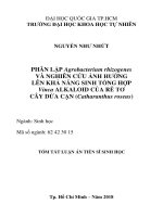 Phân lập agrobacterium rhizogenes và nghiên cứu ảnh hưởng lên khả năng sinh tổng hợp vinca alkaloid của rễ tơ cây dừa cạn (catharanthus roseus) 