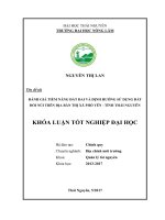 Đánh giá tiềm năng đất đai và định hướng sử dụng đất đồi núi trên địa bàn thị xã Phổ Yên  tỉnh Thái Nguyên (Khóa luận tốt nghiệp)