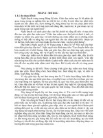 Một số biên pháp chỉ đạo giáo viên khối mẫu giáo nhỡ tổ chức hoạt động giáo dục lấy trẻ làm trung tâm tại trường mầm non sơn thủy 