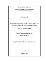 Phát triển đội ngũ giáo viên trung học cơ sở huyện lập thạch, tỉnh vĩnh phúc theo chuẩn nghề nghiệp