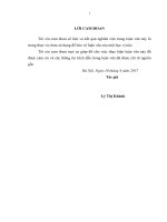 Giải pháp huy động vốn cho chương trình xây dựng nông thôn mới ở huyện kim bôi, tỉnh hòa bình 