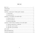 TRỊNH THANH PHONG - THU HOẠCH THỰC TẾ CHUYÊN MÔN