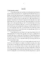 Kiểm soát nội bộ hoạt động tín dụng tại Ngân hàng Thương mại tỉnh Savannakhet  Lào