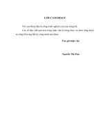 Sử dụng lao động trong các doanh nghiệp có vốn đầu tư trực tiếp nước ngoài tại các khu công nghiệp trên địa bàn Tỉnh Quảng Nam