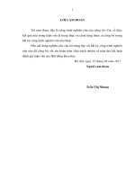 Giải pháp đẩy nhanh tiến độ thực hiện chương trình xây dựng nông thôn mới tại thị xã chí linh, tỉnh hải dương 