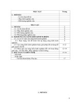 skkn một số biện pháp để nâng cao cho trẻ 5 6 tuổi làm quen chữ cái 