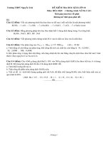 DE KIEM TRA HKII VA DAP AN HOA 10THPT 