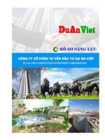 Hồ sơ năng lực Dự Án Việt