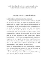 Phân tích bí quyết thành công trong chiến lược marketing của công ty UNILEVER việt nam 