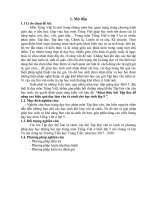 skkn khai thác bài tập đọc để nâng cao hiệu quả dạy tập làm văn tả cảnh cho học sinh lớp 5 