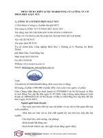 PHÂN TÍCH CHIẾN lược MARKETING của CÔNG TY cổ PHẦN bột GIẶT NET