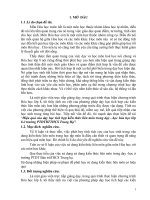 skkn hiệu quả của dạy học tích hợp kiến thức liên môn trong dạy   học hóa học lớp 8 ở trường PTDTBTTHCS trung hạ 