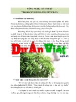 Công nghệ kĩ thuật trồng cây đinh lăng -  duanviet.com.vn 0918755356