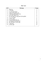 skkn đề xuất một số bài tập nhằm nâng cao hiệu quả nội dung nhảy cao kiểu bước qua cho học sinh khối 9 trường THCS trung xuân 