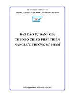 Báo cáo tự đánh giá theo tiêu chuẩn TEIDI Trường Đại học Sư phạm Tp.HCM